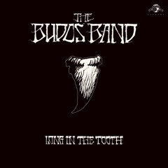 The Budos Band - Gun Metal Grey