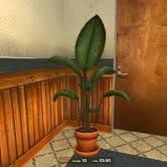 Kï-LOW - Half Man Half Plant Man