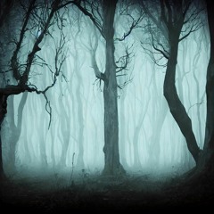 Aokigahara