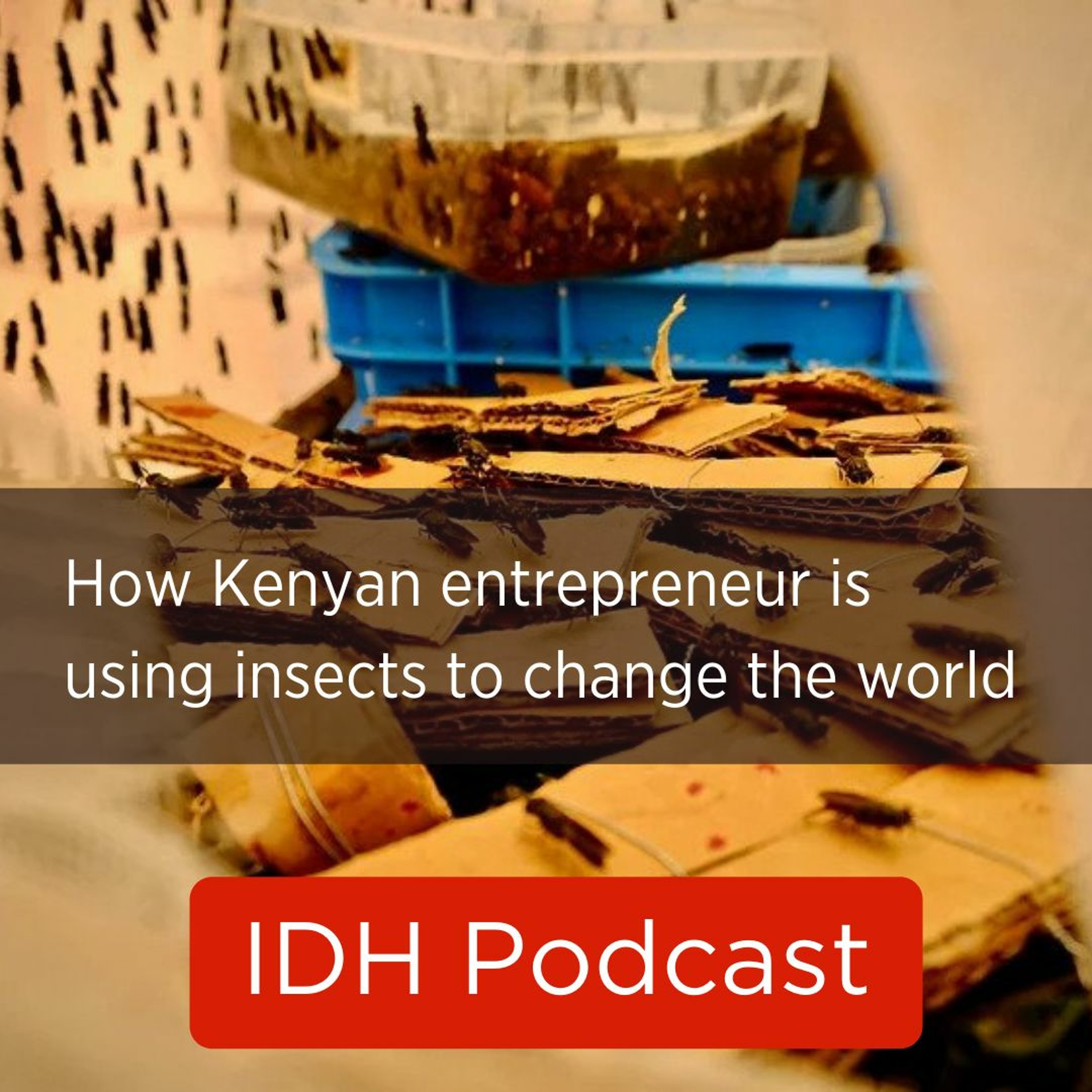 IDH Podcasts