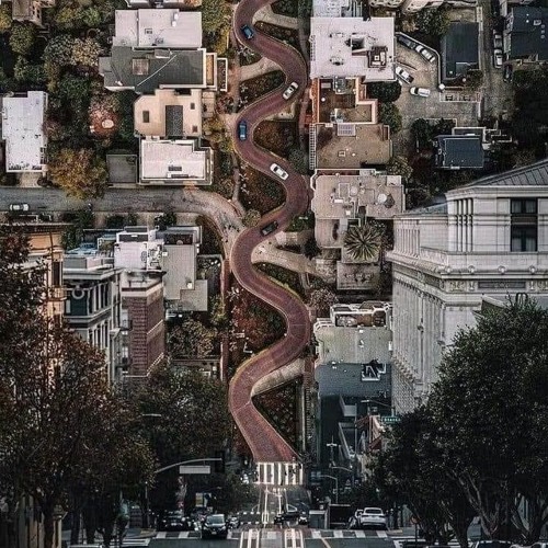 Flatten The Curve-Turf