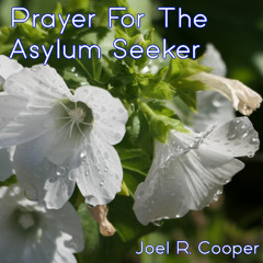 Prayer For The Asylum Seeker