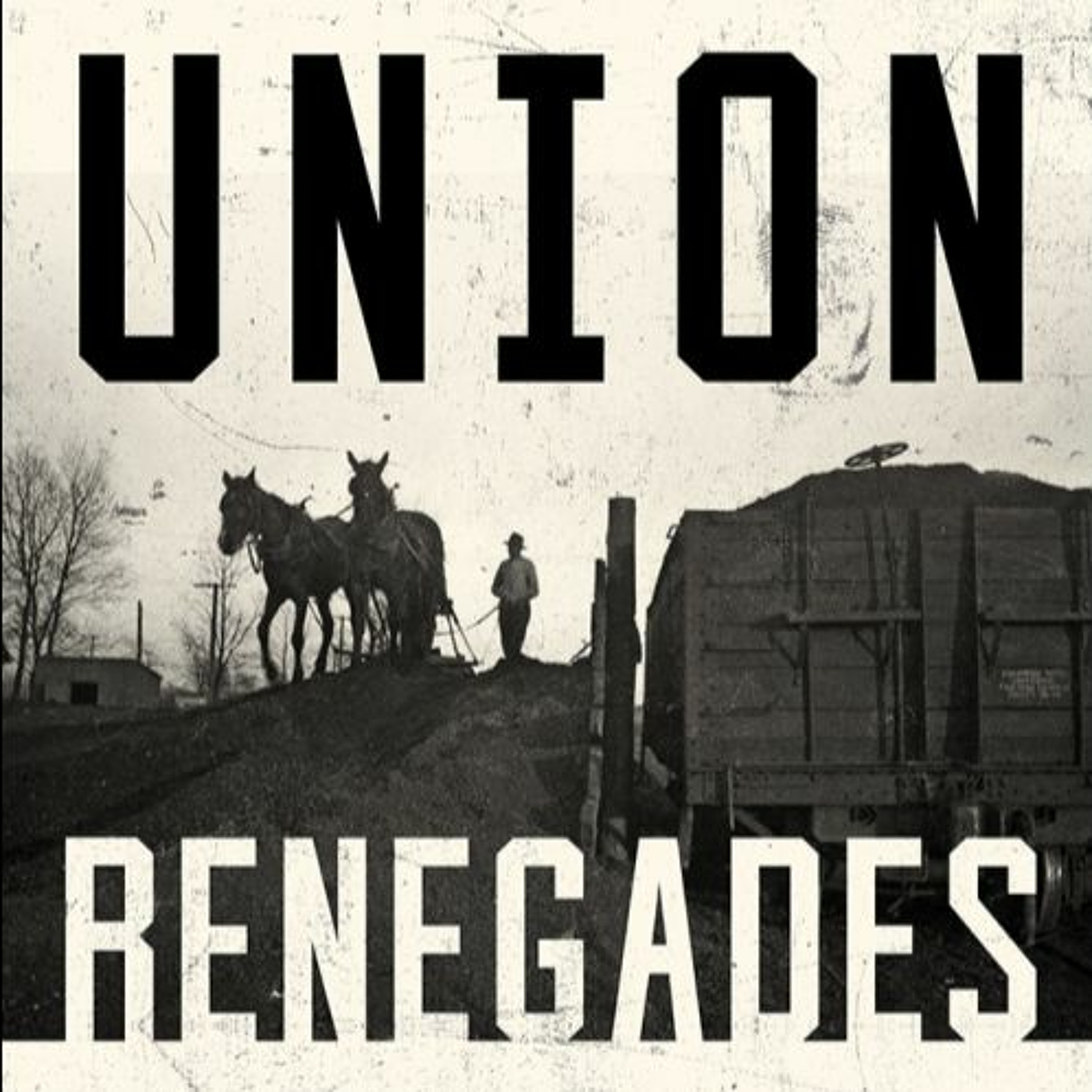 Dana Caldemeyer, Associate Professor of History at South Georgia State College episode artwork