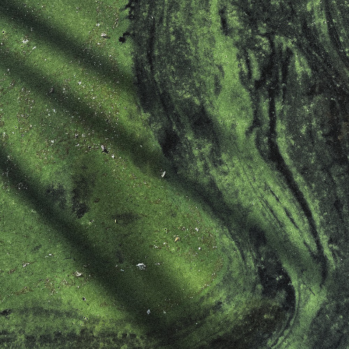 Bedroom Prayers (Free Download)