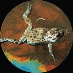 PREMIERE: Leandro Tourinho, Gregorio Vandemandier - 10th Floor [Frog Dog]