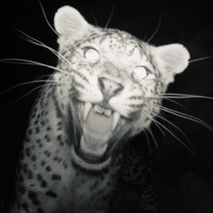 رفعت يدي ما قدرت أرفع الصوت / مشعان البراق