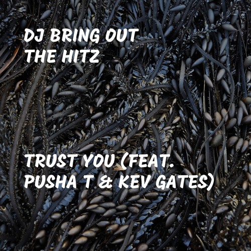 Trust You (feat. Pusha T & Kev Gates)