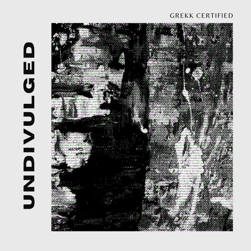 Undivulged - Je Gaat Lekker He