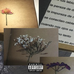 Hoe acting                 |     Rodocrosita