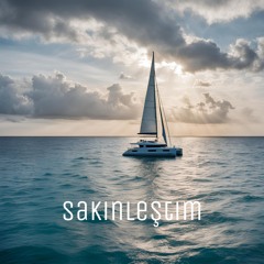 Pinhani - Sakinleştim (cover)