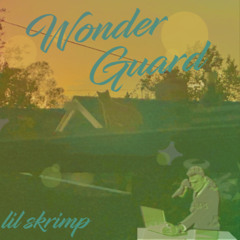 Wonder Guard [Prod. Josh Ferrer]