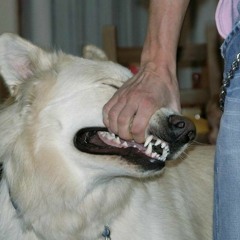 i just want to hold her
