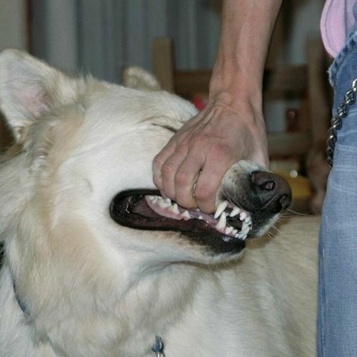 i just want to hold her