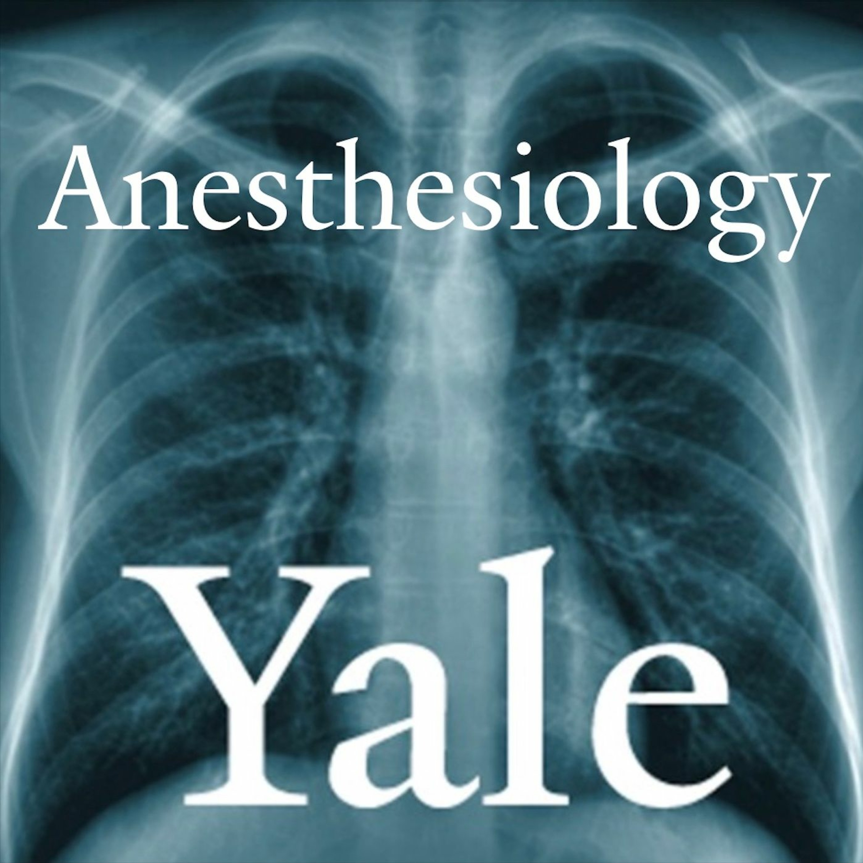 YaleUniversity