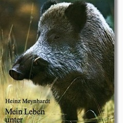 Ebook PDF Schwarzwildreport: Mein Leben unter Wildschweinen