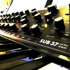 Moog For Fun
