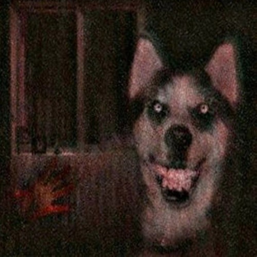 cats 30013 same speed