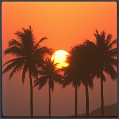 Dance to the Sunset