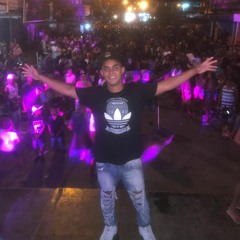 SET MIXADO 2020 AS MELHORES DO BAR DO LEO (( DJ 2L DA VILA )) Ft . BAROES DA PISADINHA