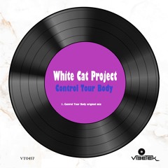 Control Your Body (original mix)