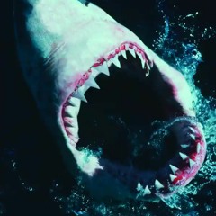 shark in the water 🦈