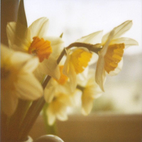 Spring Once More 2024