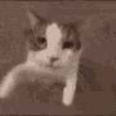 Nobody - Max Valenzuela