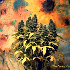 Cannabis King  Rockstar.mp3