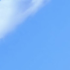 Northwestern Girls feat. Hannah Cooper (Say Hi Cover)