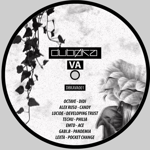 Lucide - Developing Trust (Original Mix) [Preview]