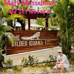 Nosara Mark Musselman Gilded Iguana DJ Set