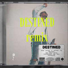 DESTINEDREMIX