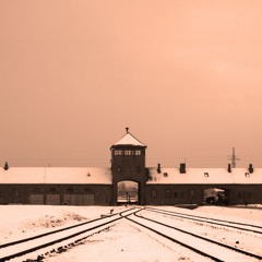 The Nazi Experiment, Vol. 8: Carl Schmitt's Politics and the Nazi State