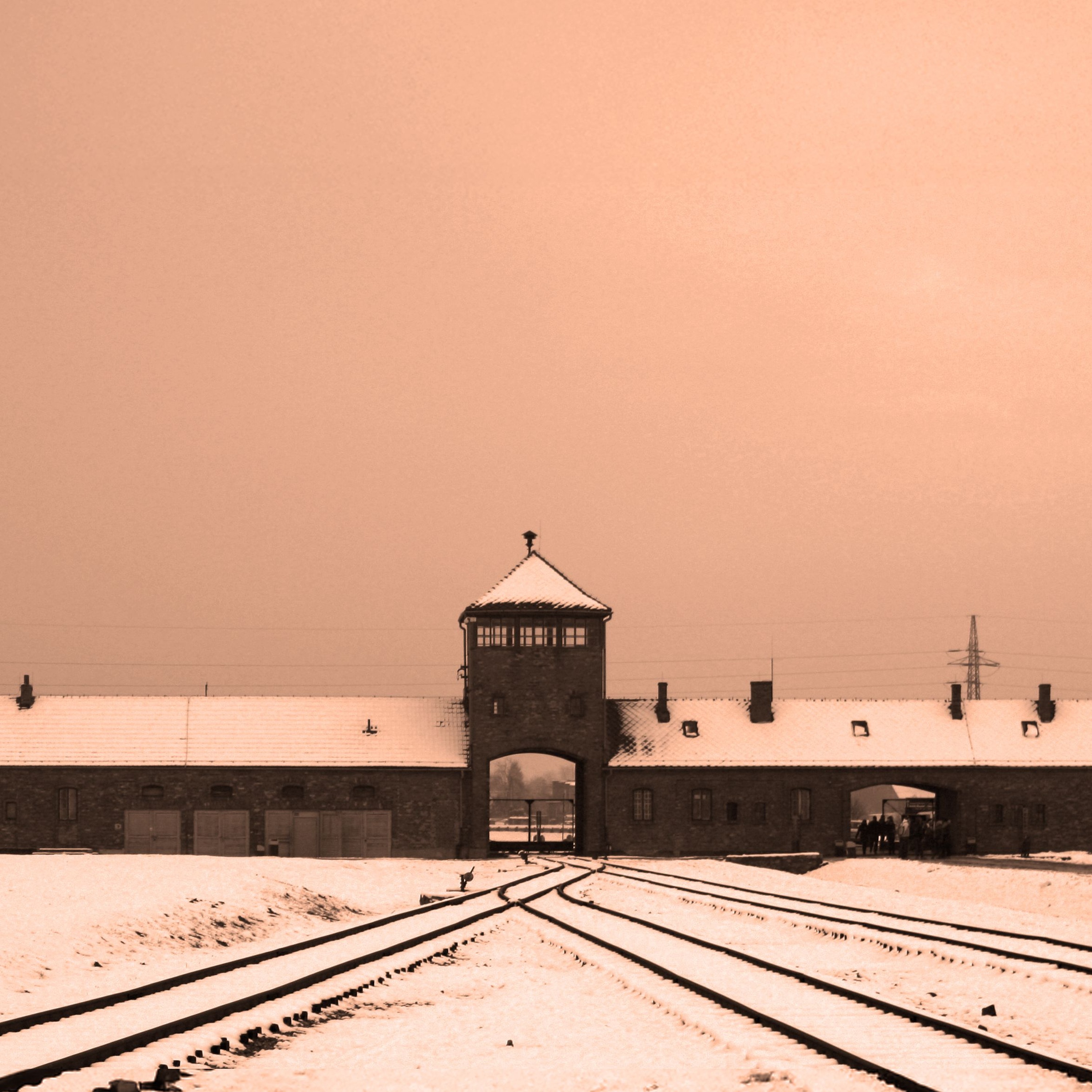 The Nazi Experiment, Vol. 8: Carl Schmitt's Politics and the Nazi State