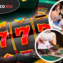 Are You Actually Doing Enough What Are the Best Sports to Bet on in 2025??