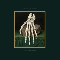 Wanderwelle / A State Of Decrepitude (ASIPV021) [Previews]
