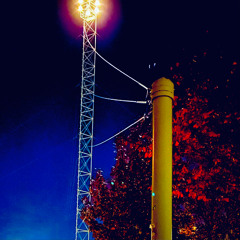 the botfly [christmas eve demo]