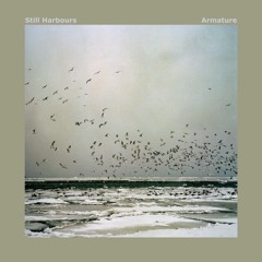 previews. Still Harbours - Armature (Album) | Lᴏɴᴛᴀɴᴏ Series