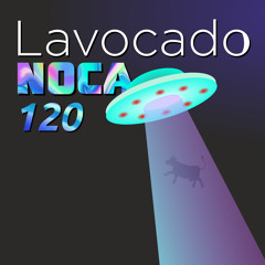 Lavocado Nocą 120 - Nowa Przygoda Specjal