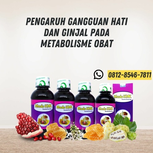 Pengaruh Gangguan Hati Dan Ginjal Pada Metabolisme Obat Madu KMK (0812-8546-7811)