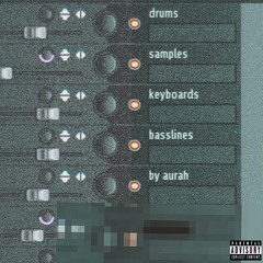 drums, samples, keyboards, and basslines