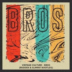 Vintage Culture - Bros (Ruddek & SlimFat Bootleg)