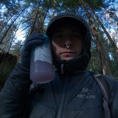 2 27 2024 page [[prod.worm