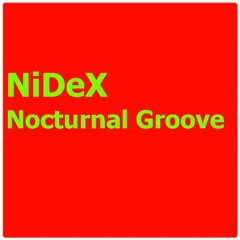 Nocturnal Groove