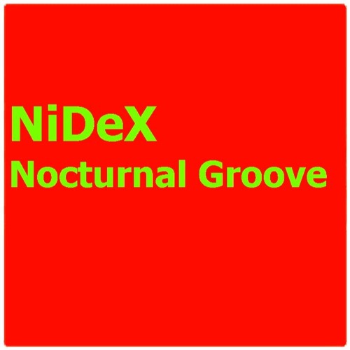 Nocturnal Groove