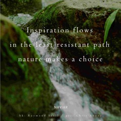 Natural Inspiration (naviarhaiku349)