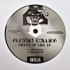 B2. Alessio Collina - Mid Season (Original Mix)