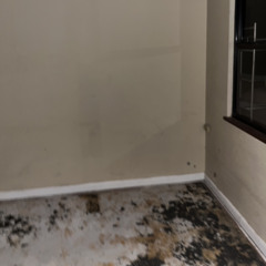 rottingroom