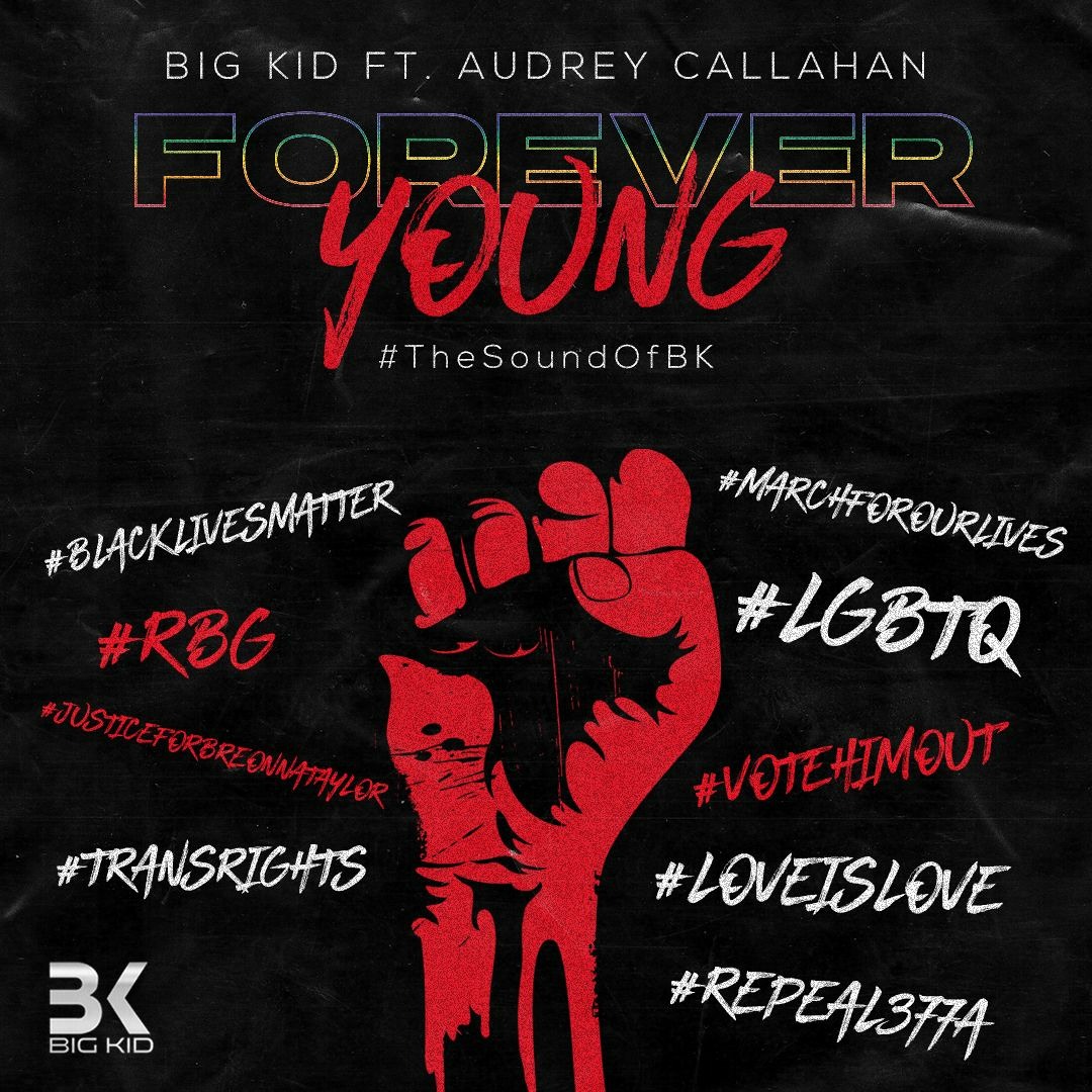Stream FOREVER YOUNG (ORIGINAL MIX) - BIG KID FT. AUDREY CALLAHAN