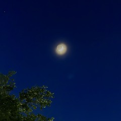 20 Feels Like July 2025